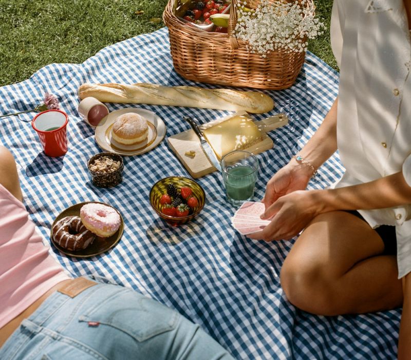 Two people have a picnic on a blue checkered blanket with food, drinks, and a basket on the grass.