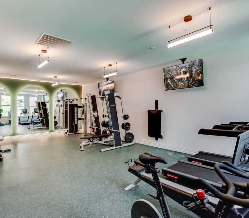 Modern gym with treadmills, stationary bikes, weight machines, mirrors, and TV on the wall.